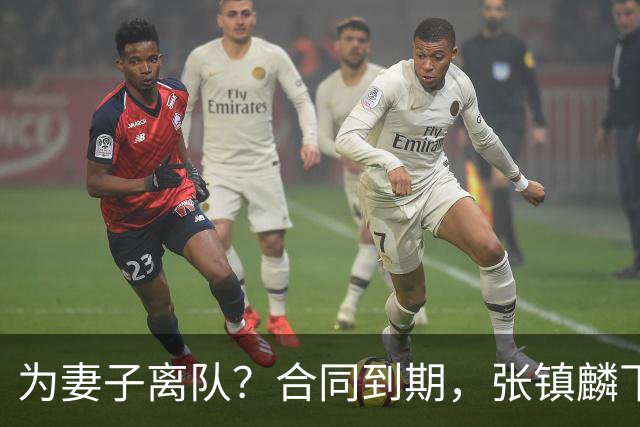 为妻子离队？合同到期，张镇麟下家4选1，广东2队有机会